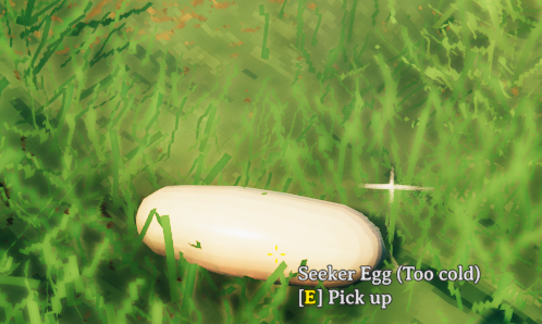Seeker Egg
