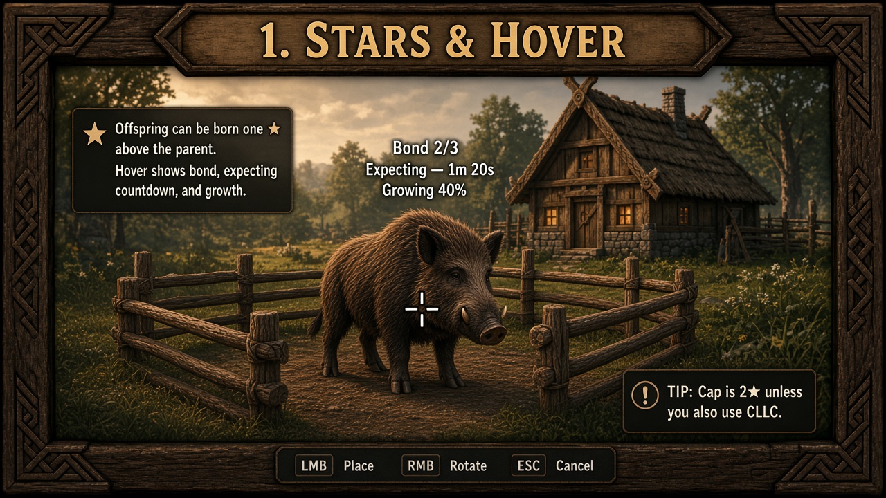 1. Stars and hover