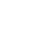 ShieldBlunt