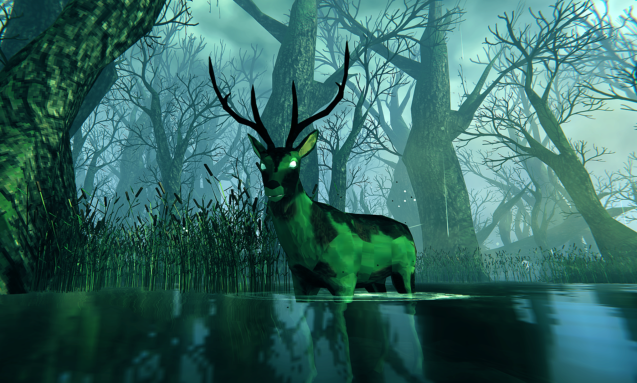 Rotting elk