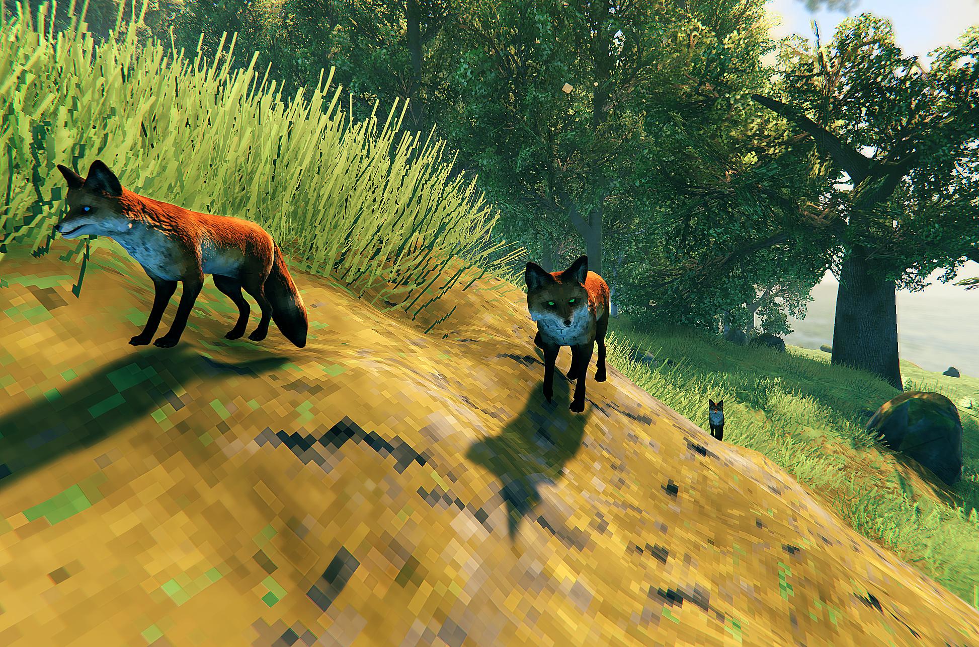 Fox 
