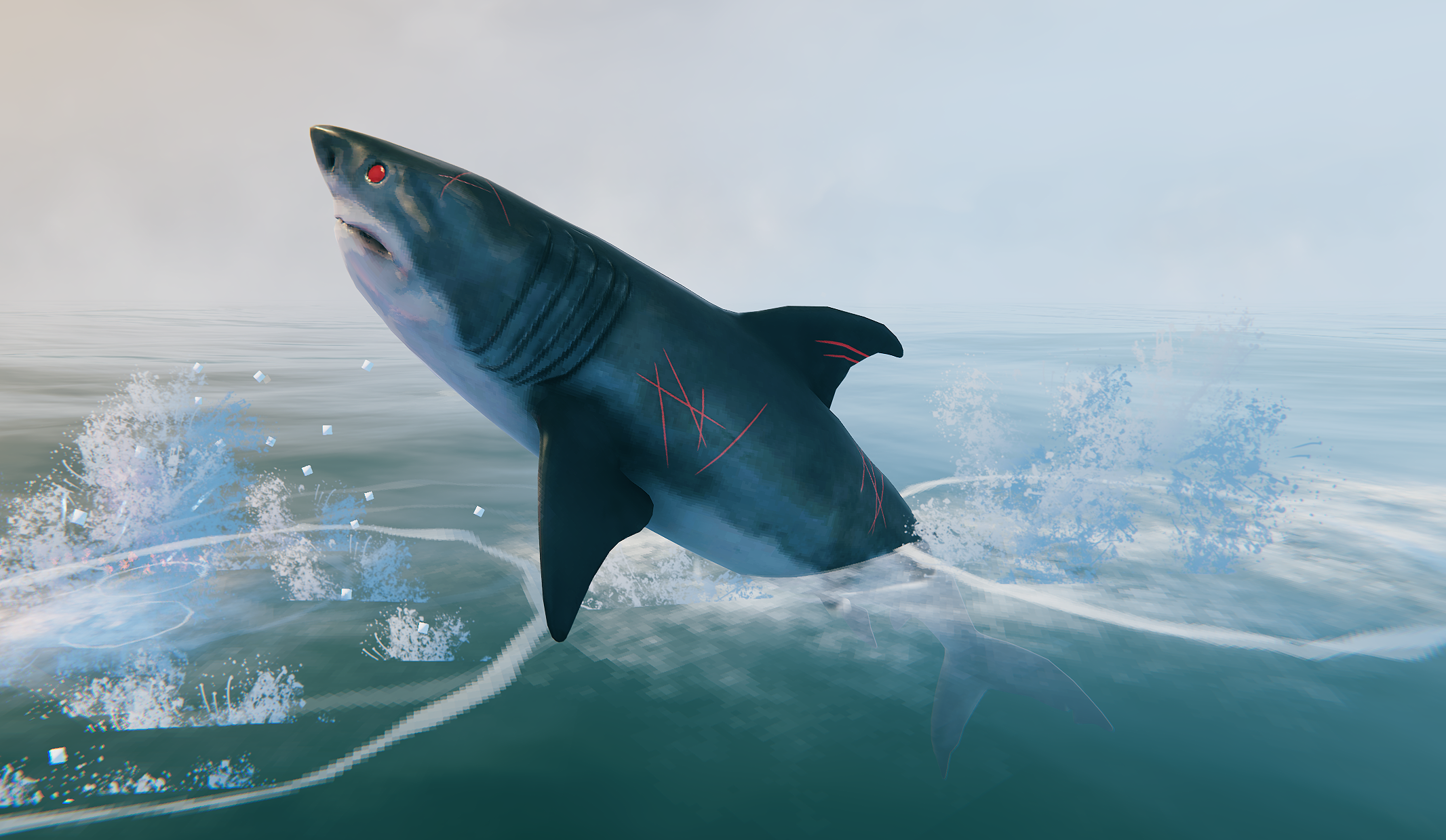 Shark