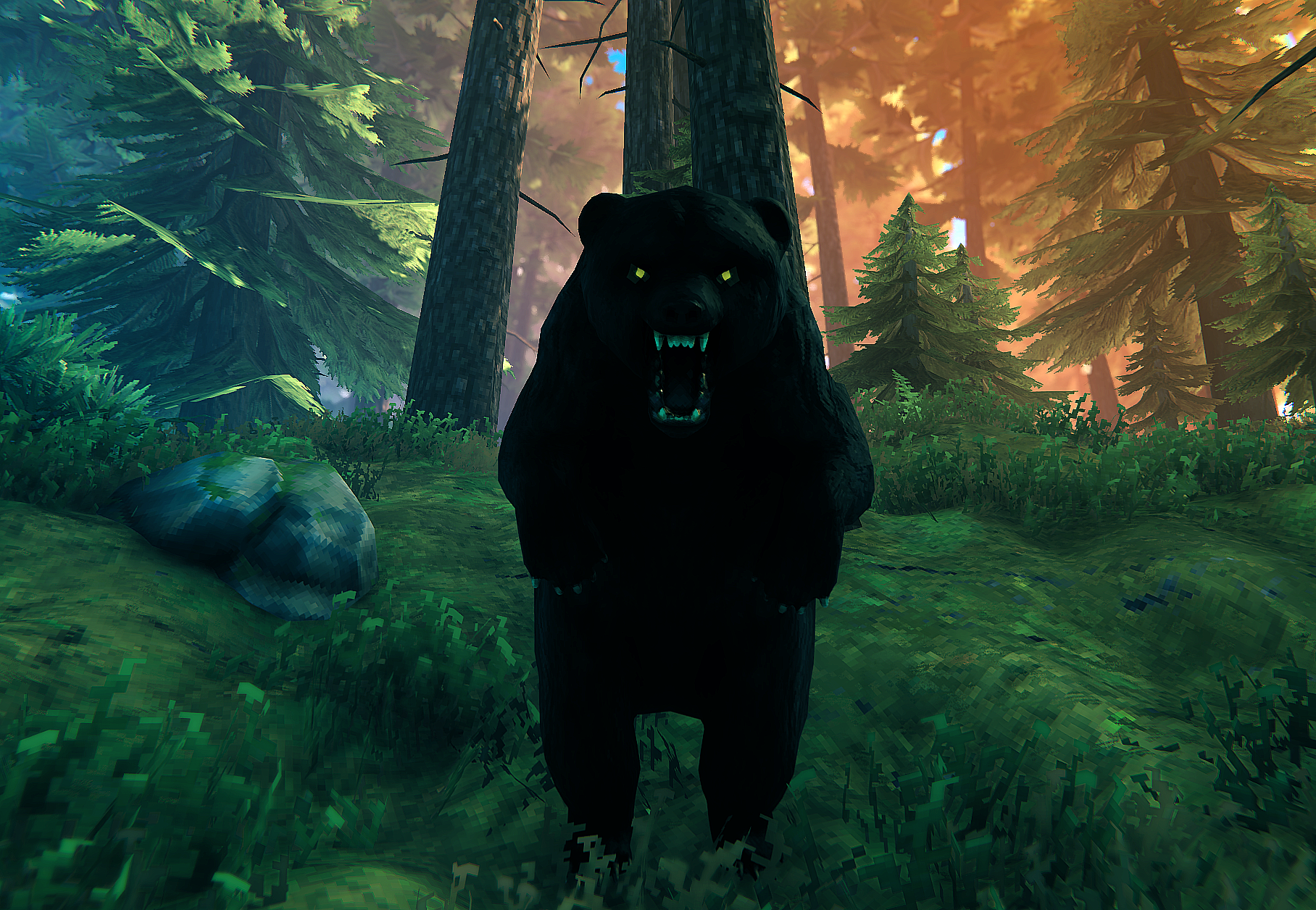 Black bear