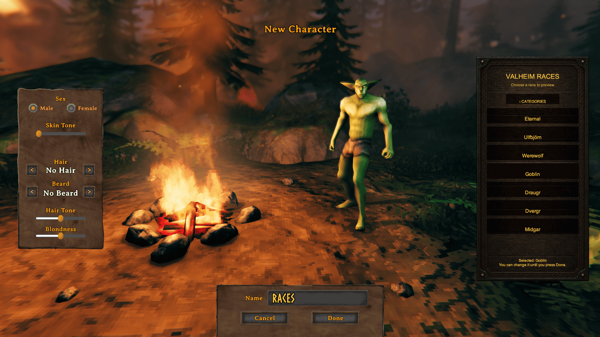 Race selection from character creation